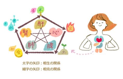 五行美人|めざせ！「五行美人」～五行のタイプ別ケア～